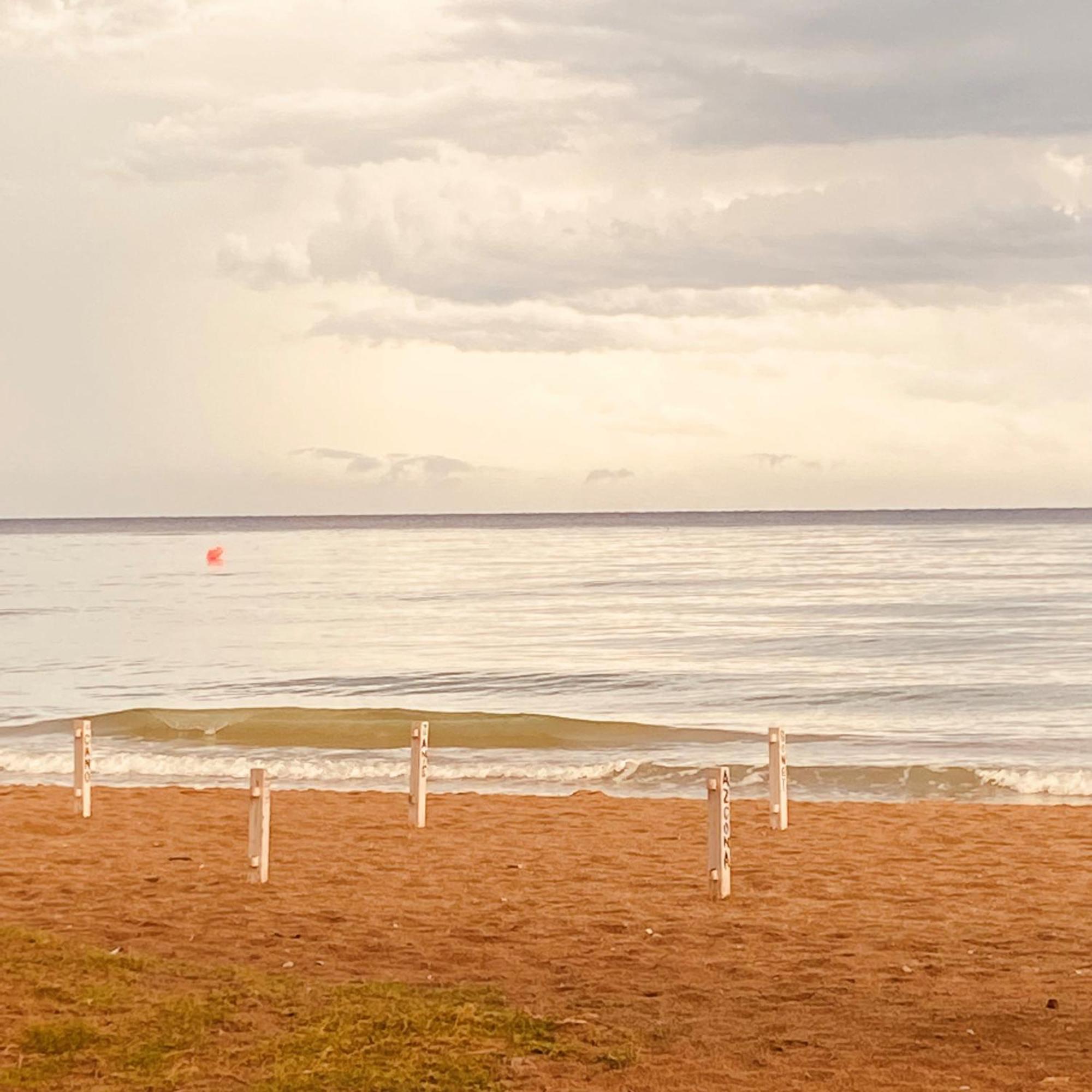Acogedor Y Amplio Apartamento Familiar A Pie De Playa Калафель Екстер'єр фото